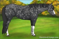 Horse Color:Black Ice 