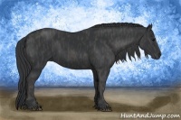 Horse Color:Black  Brindle
