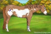 Horse Color:Chestnut Frame 