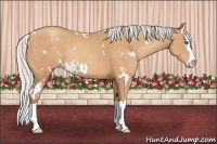 Horse Color:White Spotted Silver Amber Champagne Splash Rabicano 