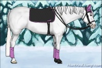 Horse Color:Silver Bay Dun Tobiano Appaloosa 