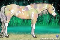 Horse Color:Nacre White Spotted Silver Buckskin Dun Splash Rabicano