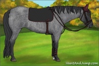 Horse Color:Blue Roan 