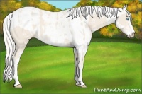 Horse Color:Cremello Sabino  and Cremello Sabino 