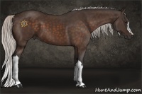 Horse Color:Silver Bay 