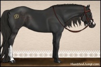 Horse Color:Liver Chestnut  and Liver Chestnut 
