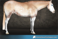 Horse Color:Red Onyx Pearl Splash and Red Onyx Pearl Splash