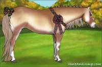 Horse Color:Red Onyx 