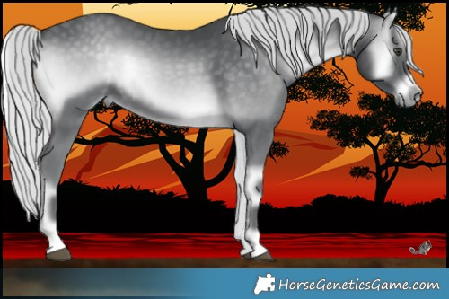 Horse Color:Silver Blue Onyx Chinchilla 