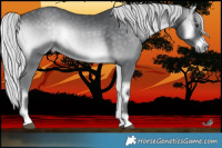 Horse Color:Silver Blue Onyx Chinchilla 