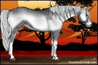 Horse Color:Silver Blue Onyx Chinchilla 