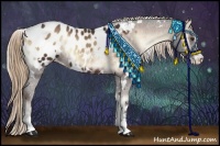 Horse Color:White Spotted Liver Red Onyx Sabino Appaloosa 