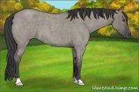 Horse Color:Smoky Grullo Roan 