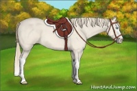Horse Color:Perlino Roan Splash 