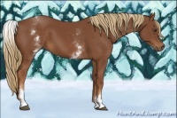 Horse Color:White Spotted Chestnut Sabino 