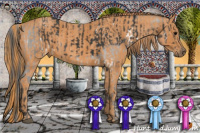 Horse Color:White Spotted Black Splash  Brindle