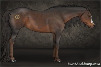 Horse Color:Liver Chestnut  and Liver Chestnut 