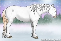 Horse Color:White Spotted Buckskin Tobiano Appaloosa 