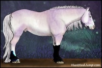 Horse Color:Watercolor Cremello Onyx Sabino Brindle