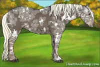 Horse Color:White Spotted Liver Red Ice Roan 