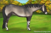 Horse Color:Blue Onyx Brindle