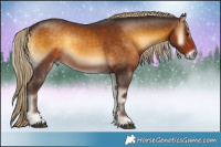 Horse Color:Chocolate Palomino Onyx 
