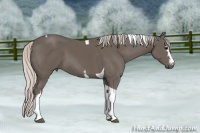 Horse Color:White Spotted Silver Black Tobiano 