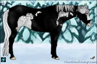 Horse Color:Silver Black Chinchilla Splash Tobiano Rabicano 