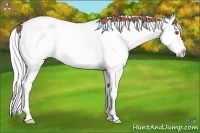 Horse Color:White Spotted Chestnut Chinchilla Varnish Rabicano 