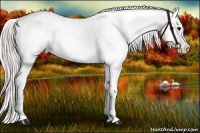 Horse Color:Silver Brown Onyx Splash Varnish