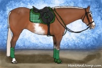 Horse Color:White Spotted Silver Bay Splash