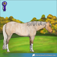 Horse Color:Silver Buckskin Roan Rabicano