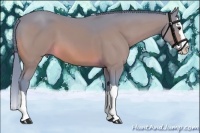 Horse Color:Watercolor Bay Splash