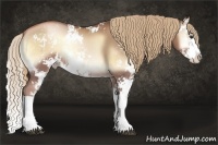Horse Color:Liver Red Onyx Pearl Sabino Splash Rabicano