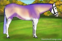 Horse Color:Watercolor Bay Onyx Splash