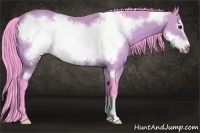Horse Color:Watercolor Bay Frame