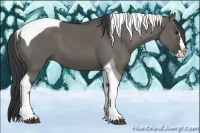 Horse Color:Grullo Splash Tobiano