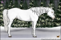 Horse Color:Silver Grullo Pearl Tobiano Appaloosa