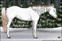 Horse Color:Bay Pearl Frame Appaloosa Rabicano 