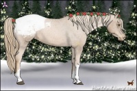 Horse Color:Liver Chestnut Pearl Appaloosa