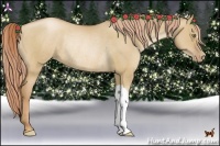 Horse Color:Red Dun Pearl Rabicano 
