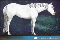 Horse Color:Bay Sabino Splash 