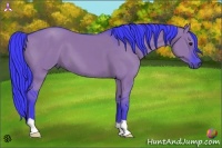 Horse Color:Watercolor Smoky Grullo 