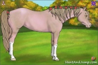 Horse Color:Watercolor Gold Champagne 