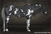 Horse Color:White Spotted Black 