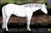Horse Color:Silver Black Sabino Splash Tobiano Blanket 