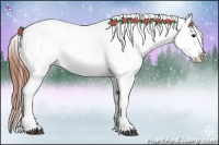 Horse Color:Brown Appaloosa 