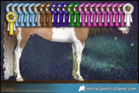 Horse Color:Gray Perlino Sabino Splash Tobiano Rabicano 