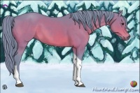 Horse Color:Watercolor Bay Tobiano 