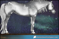 Horse Color:White Spotted Silver Blue Onyx Chinchilla 